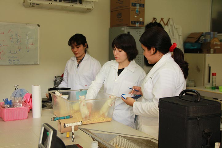 QFB fortalece vocación por la investigación entre estudiantes de licenciatura