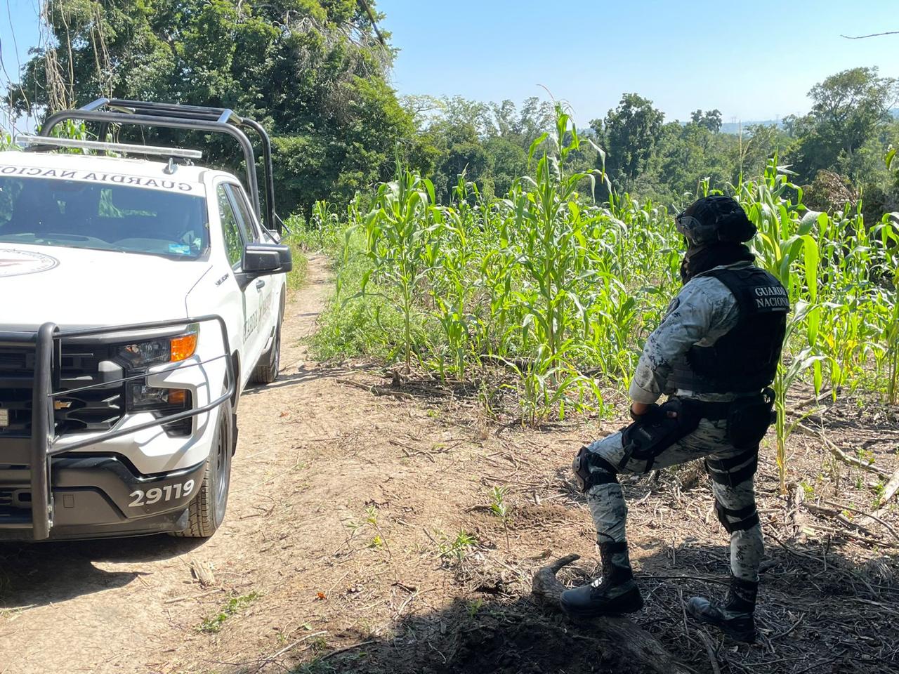 FGE investiga reporte de fosa clandestina en Tihuatlán