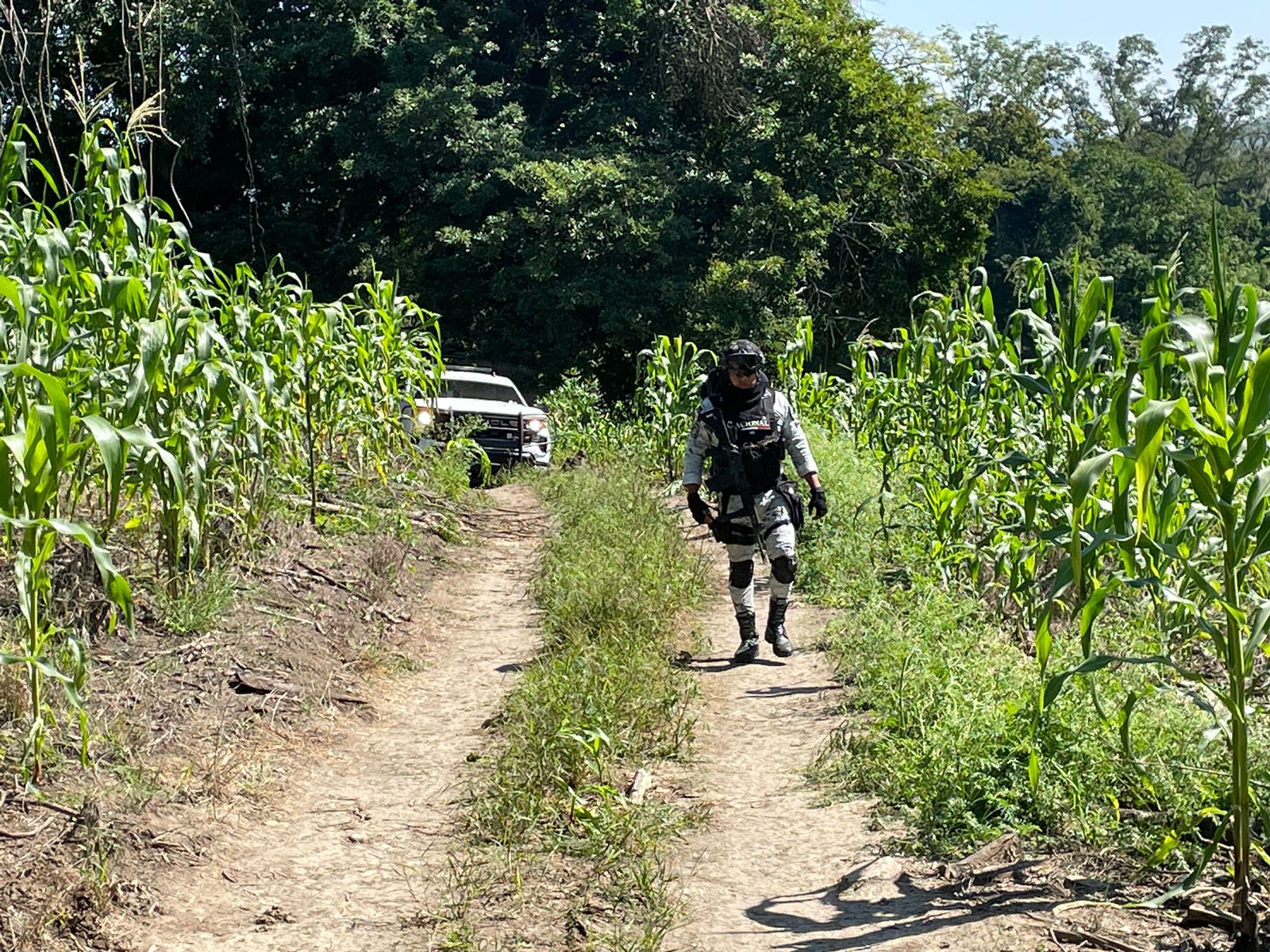 Solo un cuerpo se halló en fosa clandestina de Tihuatlán
