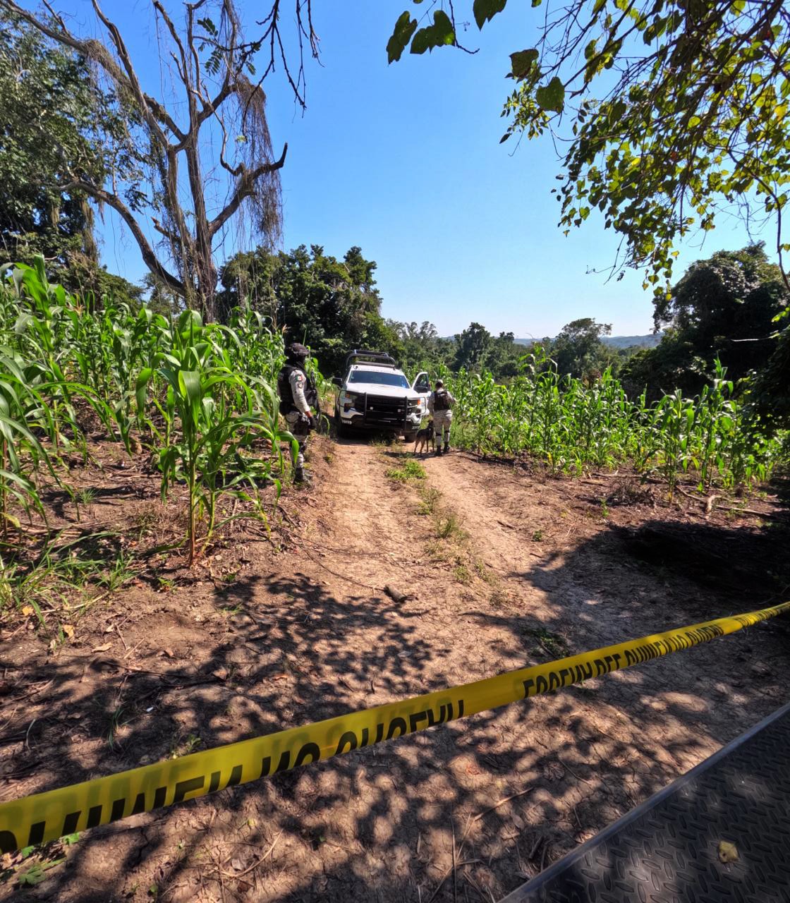 Colectivos de familias del norte piden identidad para cuerpos hallados en fosas clandestinas