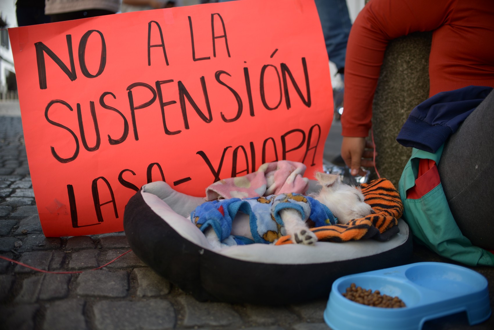 Licenciatura en Agroecología y Soberanía Alimentaria estará en la convocatoria de ingreso de la UV