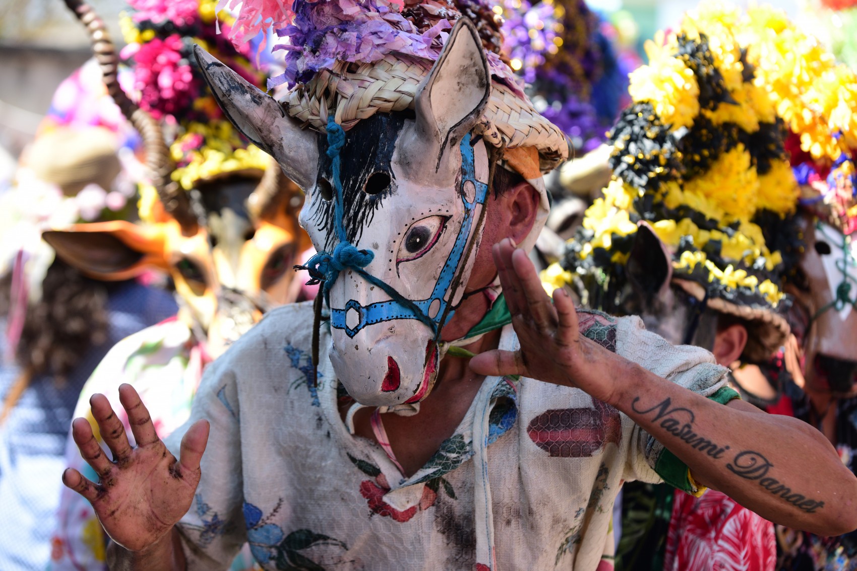 Carnaval de Alto Tío Diego, con personalidad propia