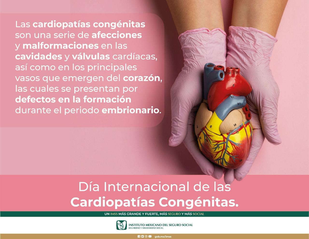 Importante diagnóstico temprano de cardiopatías congénitas para mejor calidad de vida