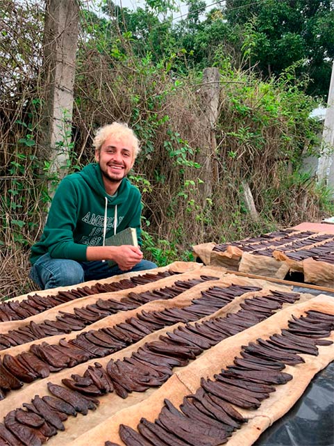 Vainilla pompona puede proteger a la especie planifolia