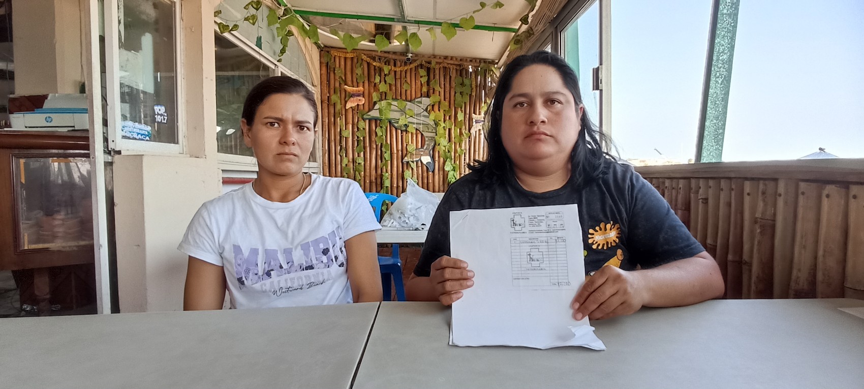 Piden cese de ataques y acoso jóvenes relacionadas con atropellamiento de dos perritos en Veracruz