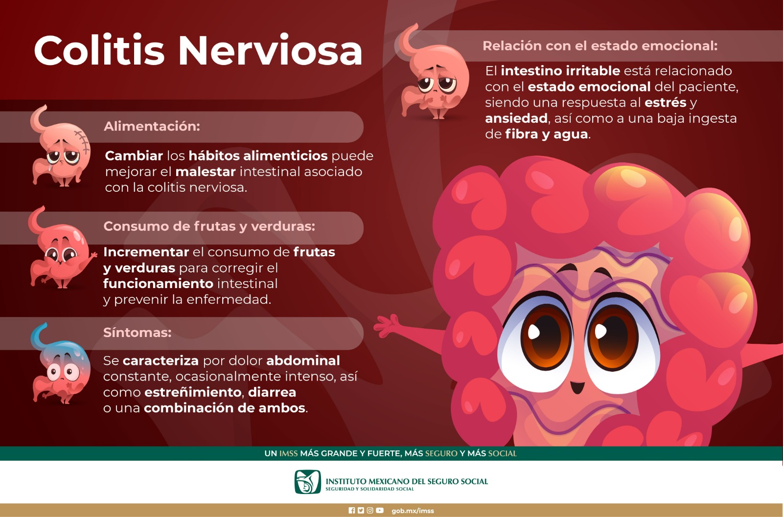 Sana alimentación para evitar colitis nerviosa