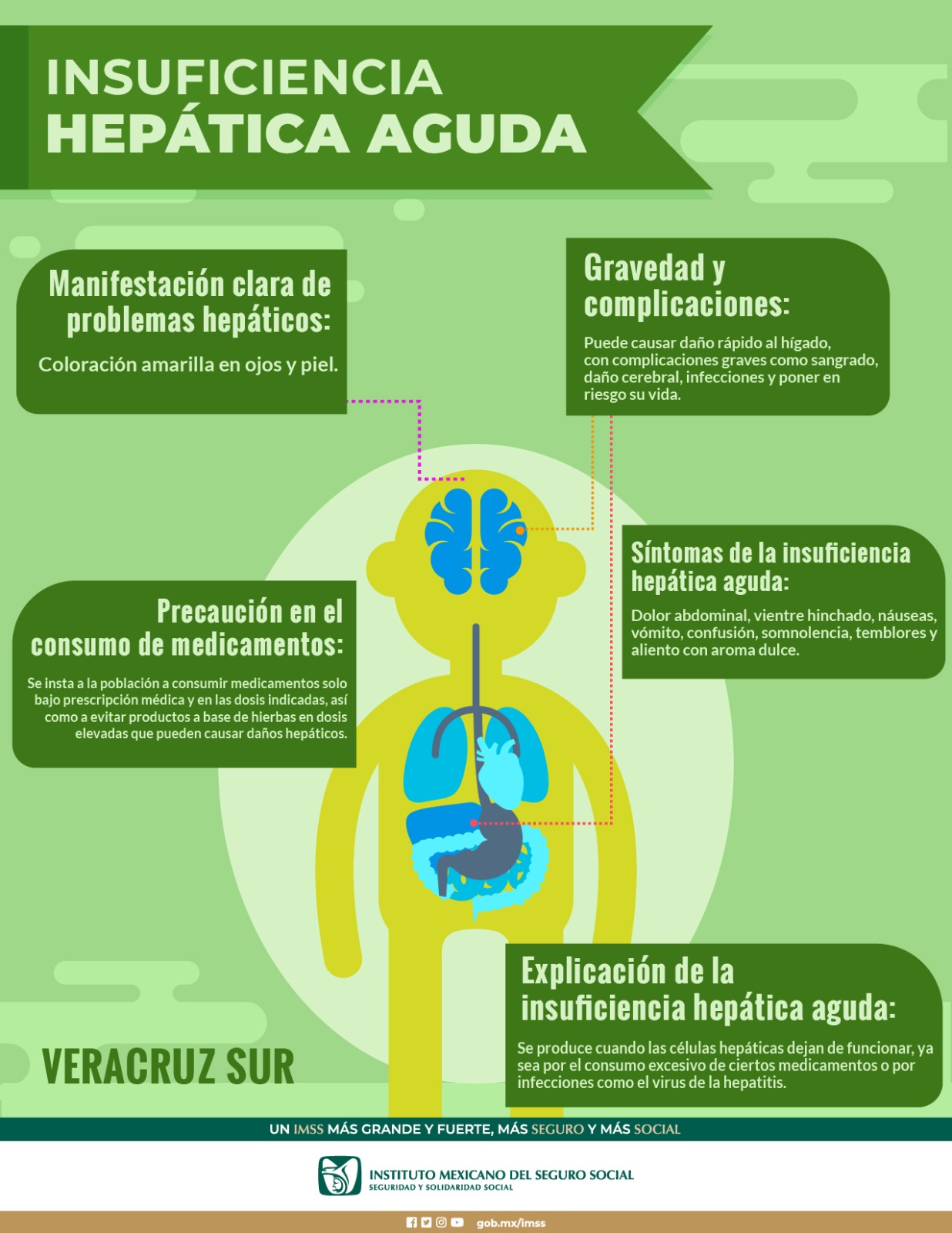 Automedicación y tratamientos herbolarios pueden causar insuficiencia hepática aguda