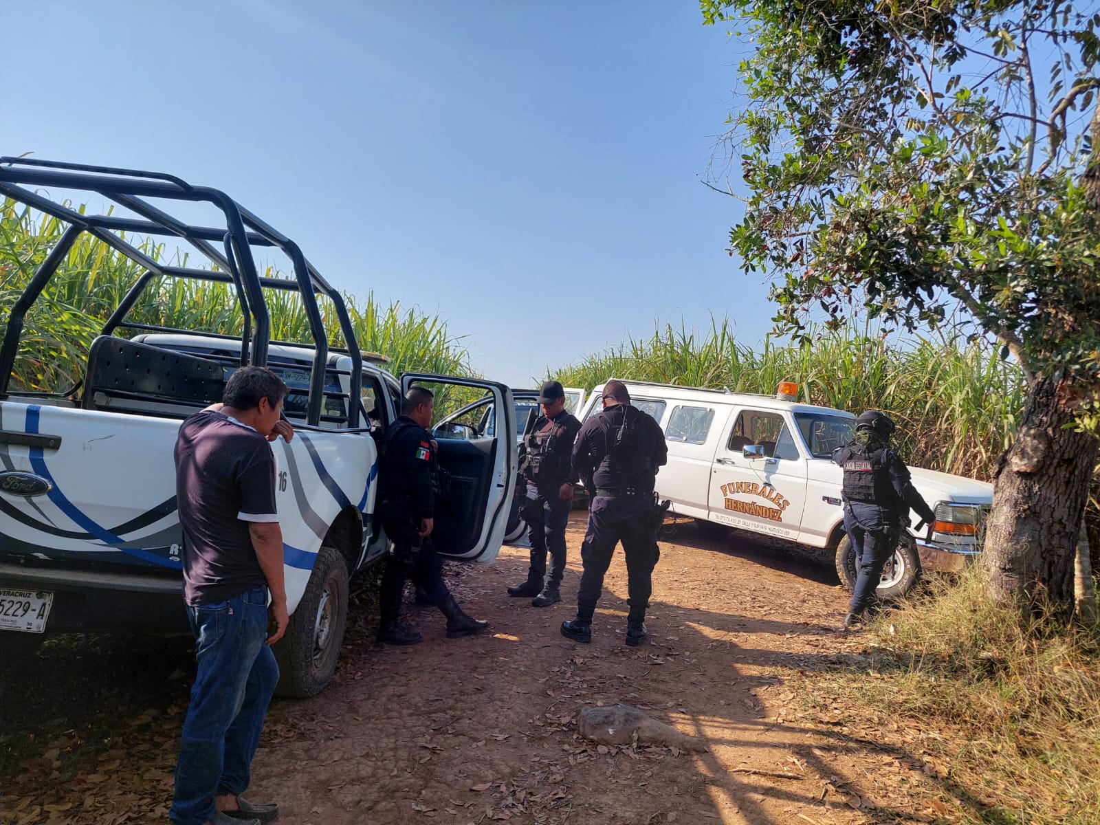 Cuerpo de un hombre es encontrado pendiendo de un árbol en Mata oscura