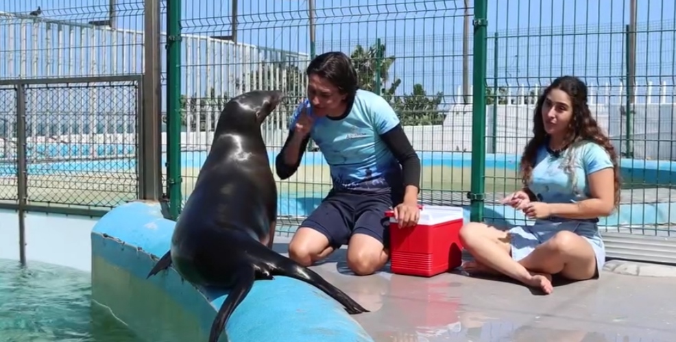 En 2023 el Aquarium de Veracruz tuvo ingresos de 129 mdp y gastos por 62 mdp: Cuitláhuac