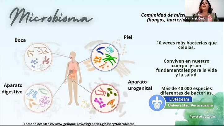 Microbioma, esencial para una buena salud: neuroetóloga