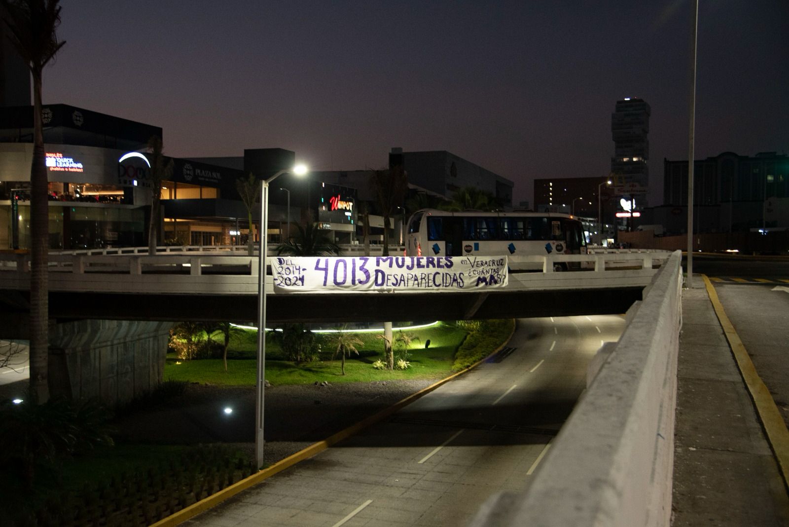 Colmena Verde se manifiesta en el #8M por las 4 mil 013 desaparecidas y los mil 094 feminicidios en Veracruz