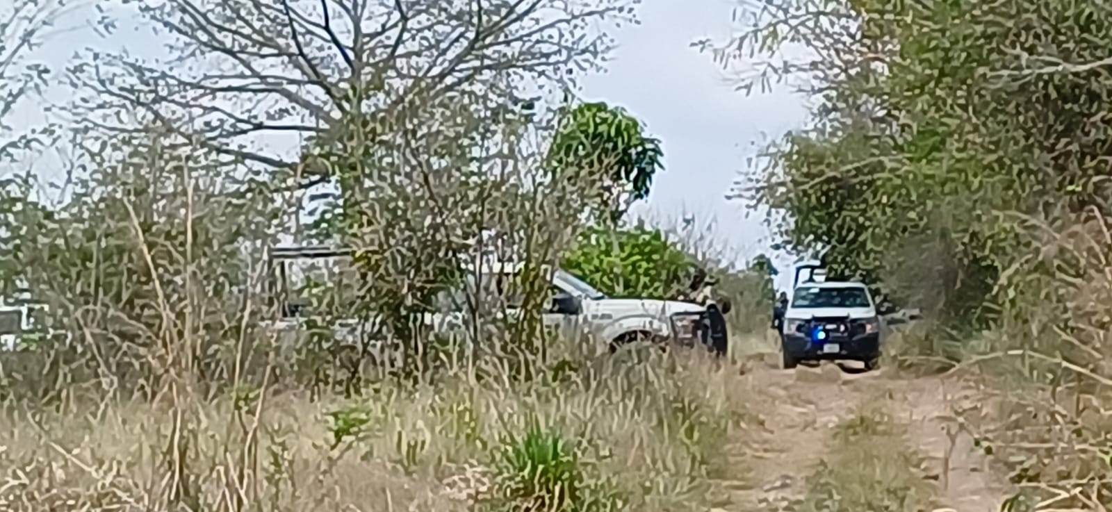 Aseguran vehículos abandonados con equipo táctico y armamento en Carrillo Puerto