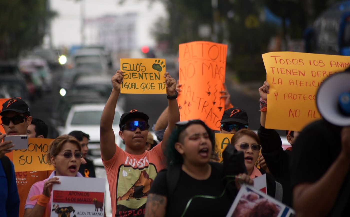 Marchan para que se termine el maltrato animal