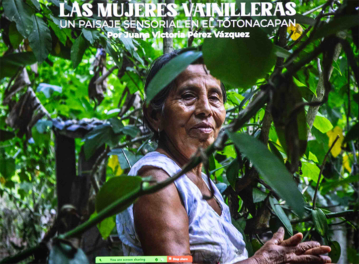 Alumna de posgrado visibilizó labor de productoras de vainilla