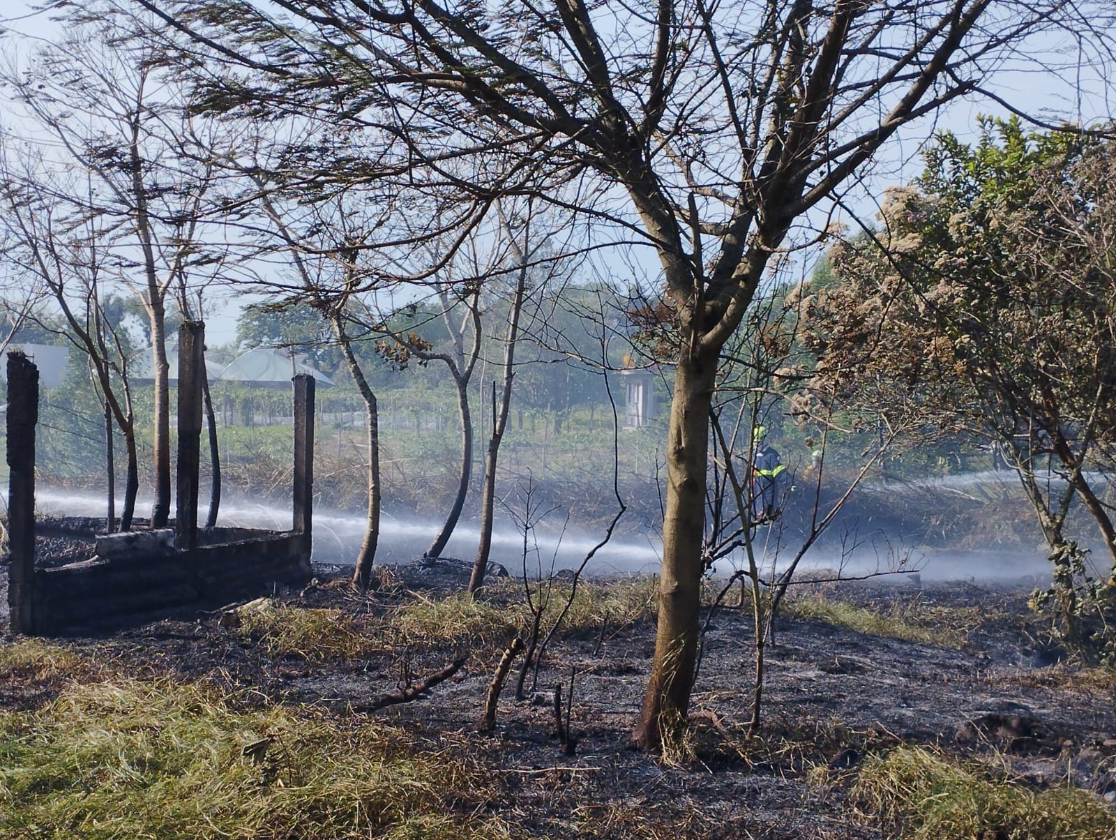 Liquidan incendio de pastizal en inmediaciones de Orizaba