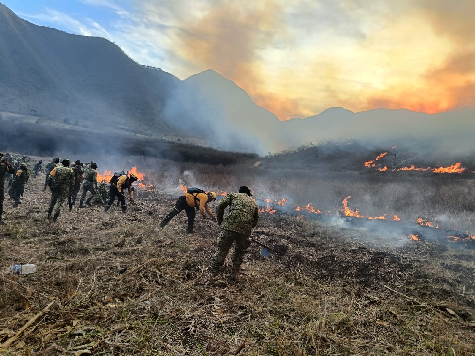 Activan Plan DNIII-E y Plan Tajín por incendios forestales activos en Veracruz