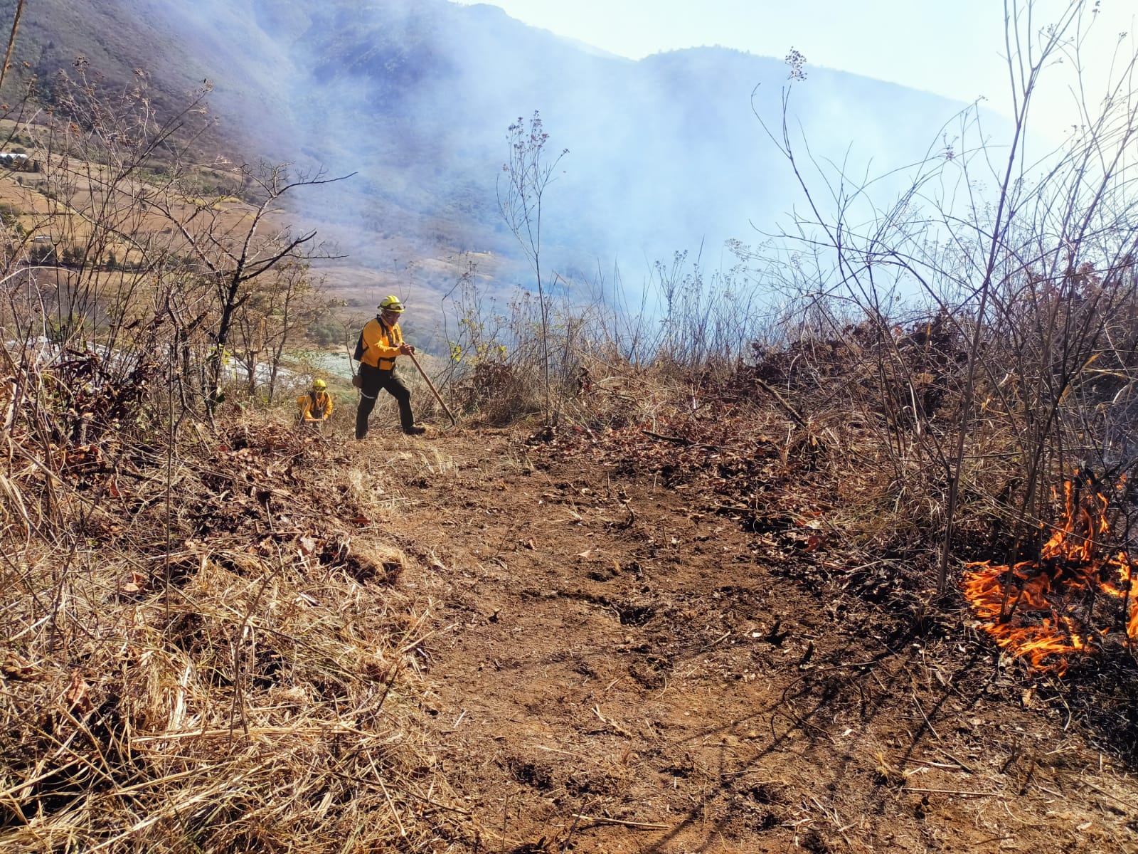 Se registran 6 incendios activos en Veracruz, la mayoría en Las Altas Montañas