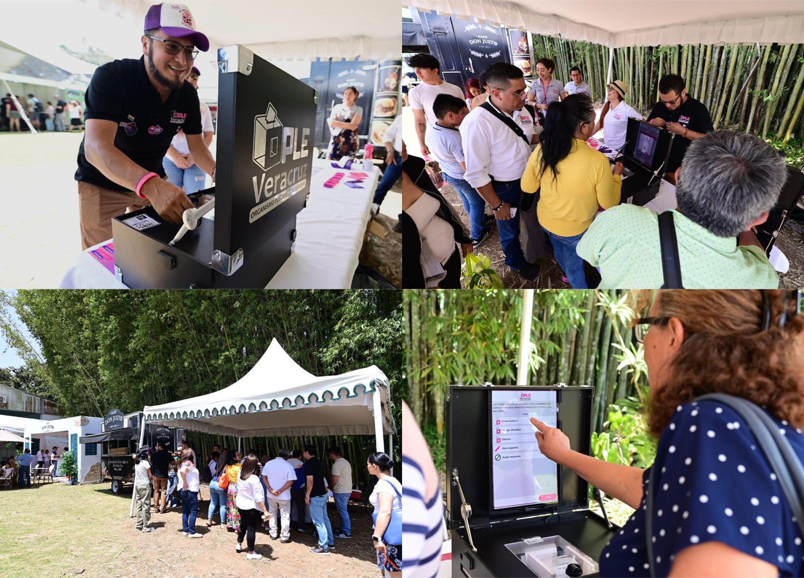 OPLE Veracruz presente en la Feria Internacional de la Orquídea 2024 de Coatepec