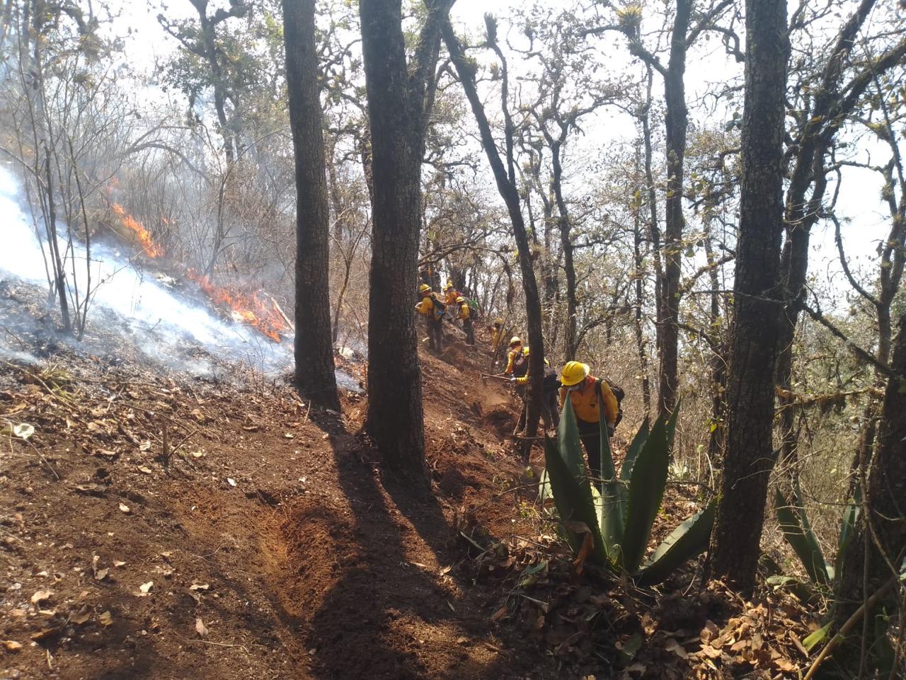 Incendios causan afectaciones en 10 viviendas y 16 familias en Huiloapan y Nogales