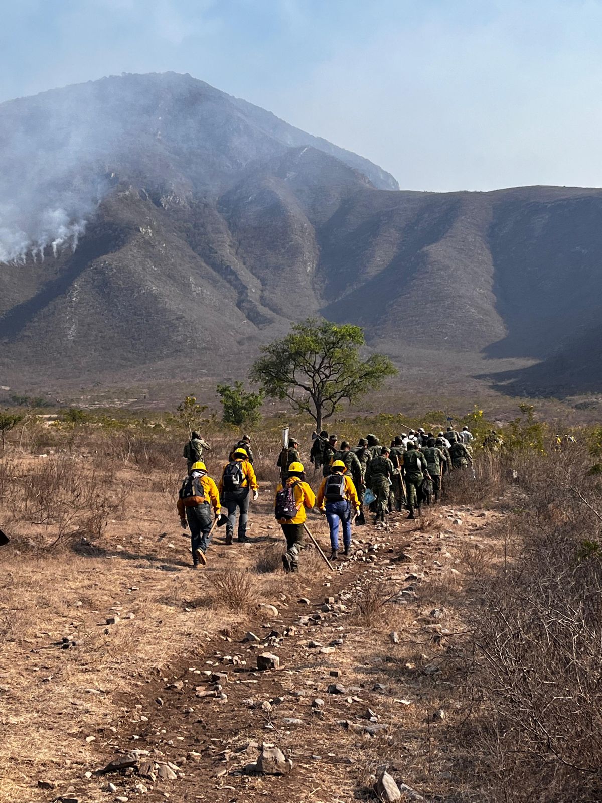 Incendio en Huiloapan fue liquidado, ahora la atención está en Maltrata