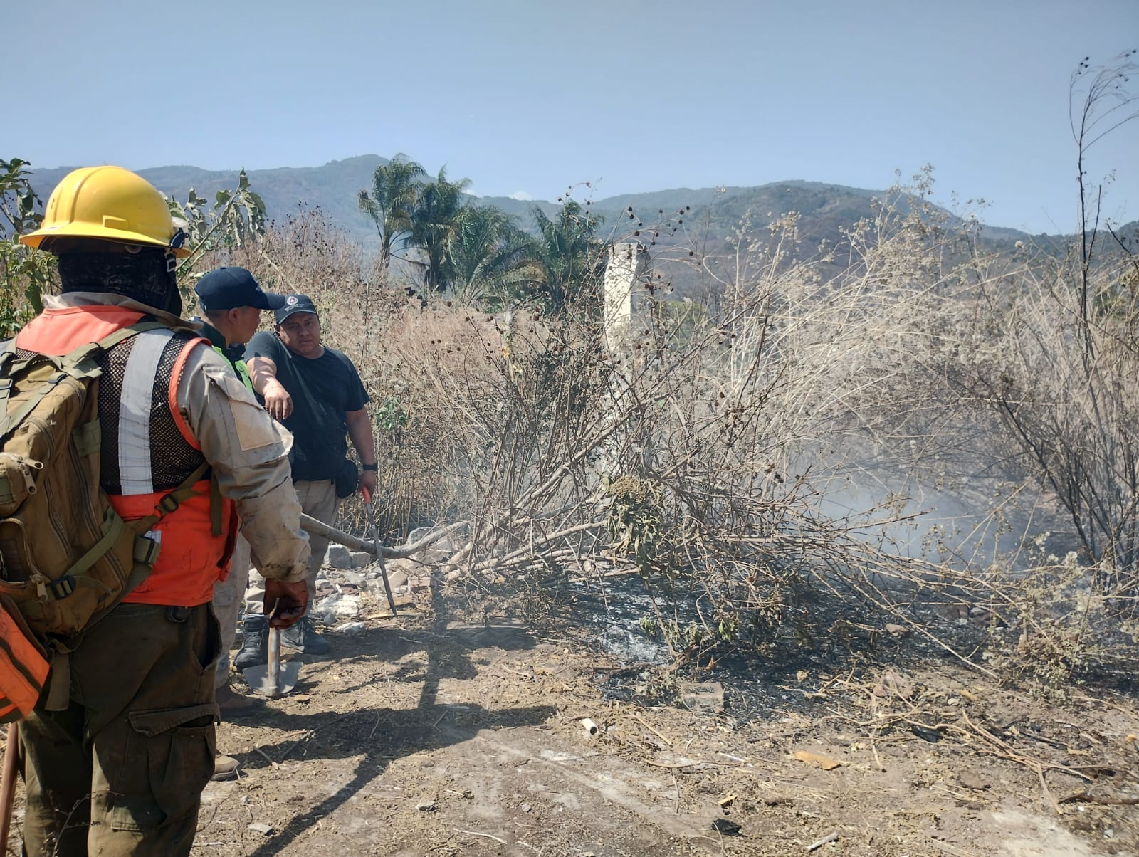 Incendio de pastizal provoca gran movilización en Nogales