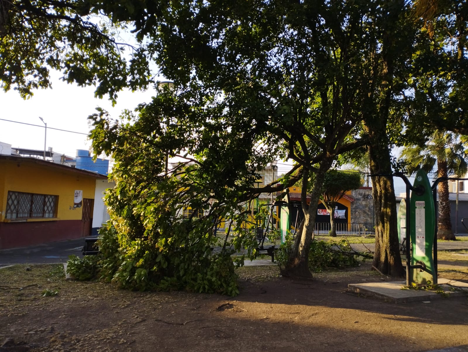 Surada causa destrozos en la región de Orizaba