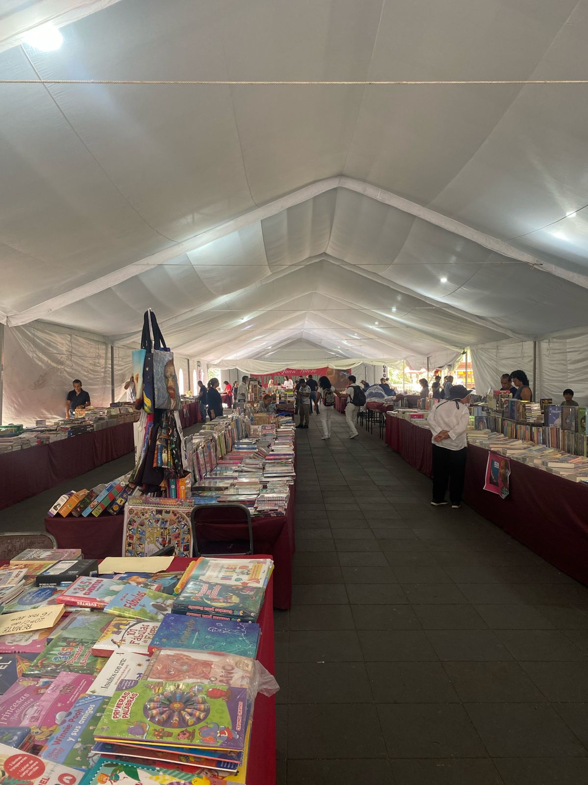 Libros electrónicos no han impactado en las ventas : Libreros de Xalapa