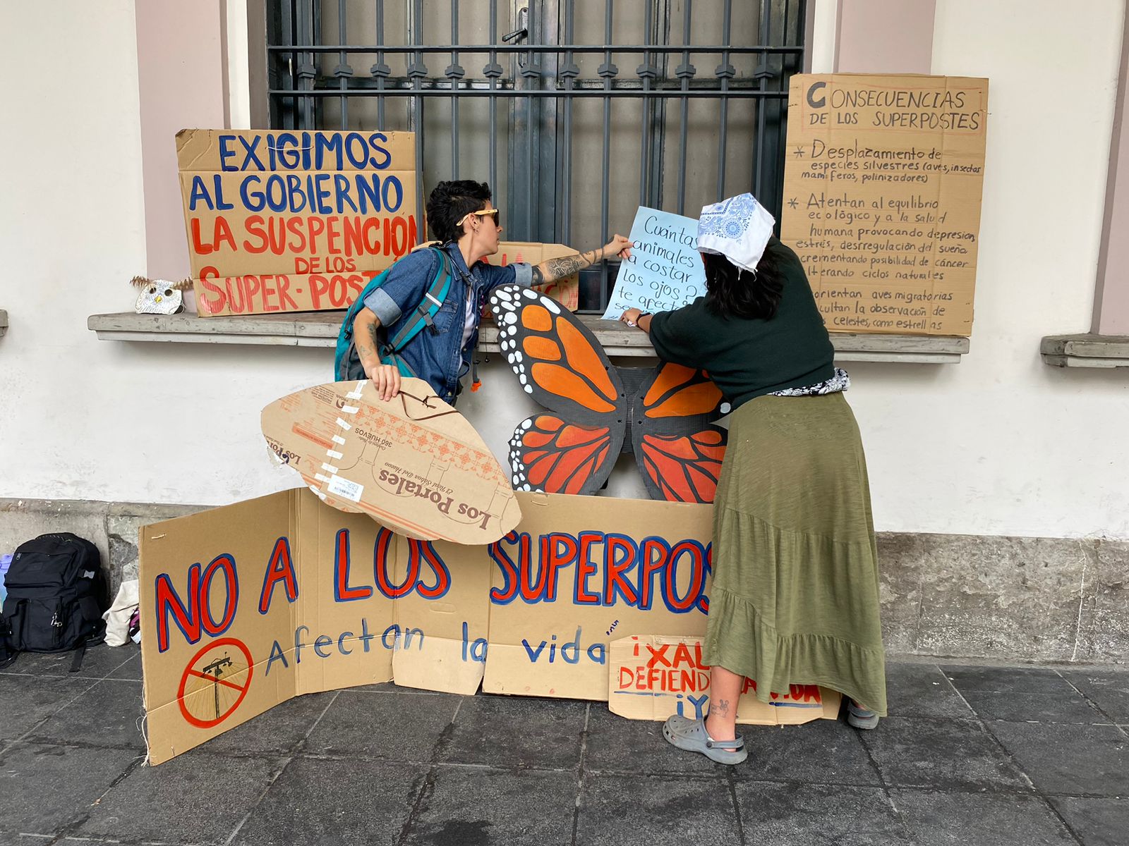Proyecto «Super Postes» dañará  flora, fauna y salud, reclaman ambientalistas