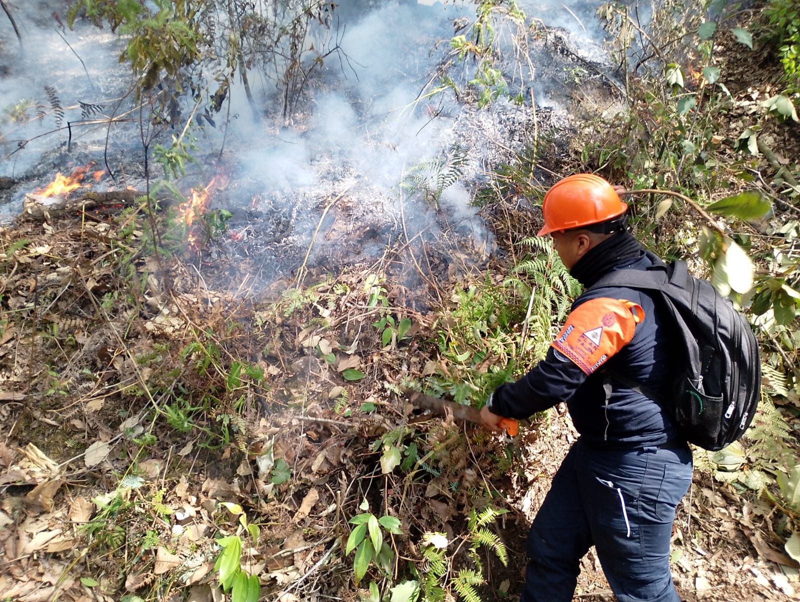 Sociedad debe dimensionar impacto económico y ecológico de los incendios
