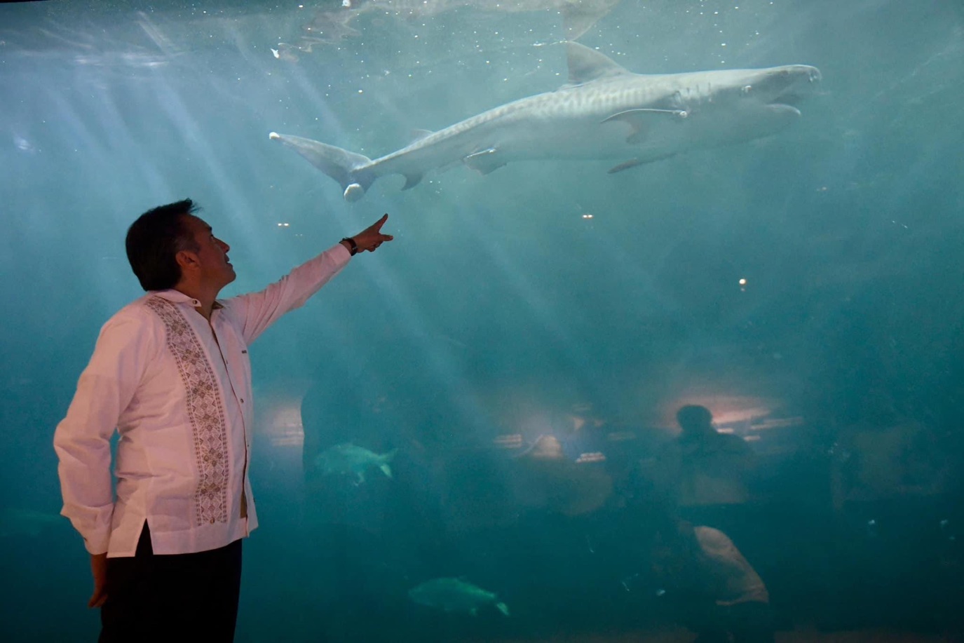 Cuitláhuac responde a reportaje que dice que Aquarium de Veracruz perdió  mil 577 animales