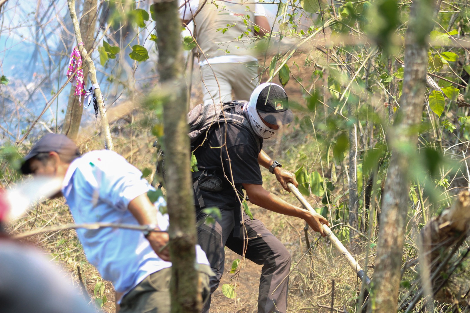 Avanza incendio forestal en el municipio de Río Blanco