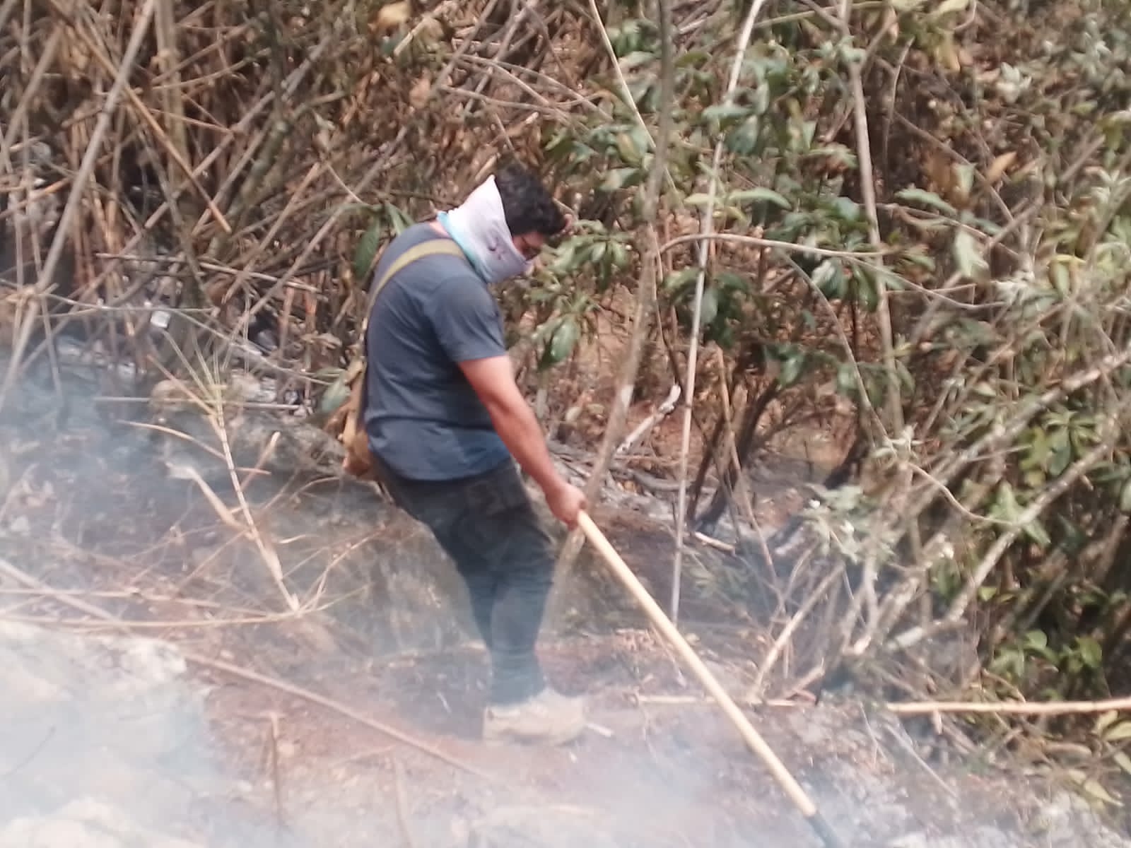 Varios días podría demorar la liquidación total de incendio forestal en cerros de Río Blanco