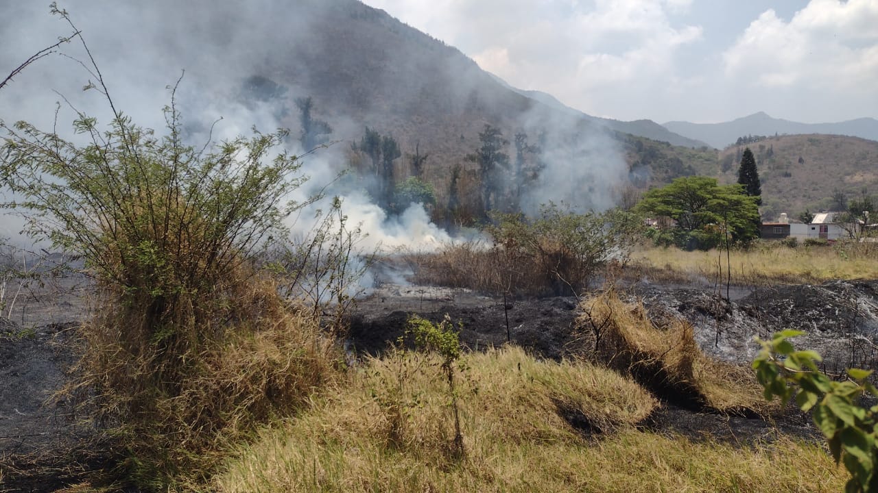 Veracruz prohíbe quemas agropecuarias sin control para prevenir incendios forestales