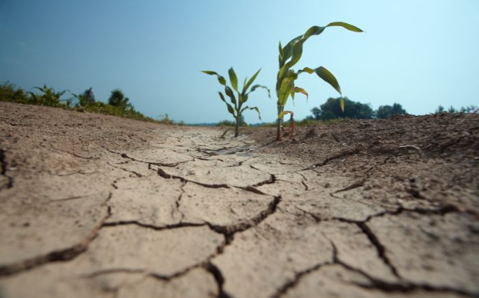 Aumentan municipios secos en Veracruz pese a lluvias: Conagua
