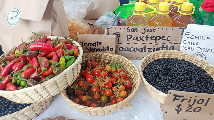 UV realizó Feria de Nutrición, Alimentación y Salud Bio-Agro