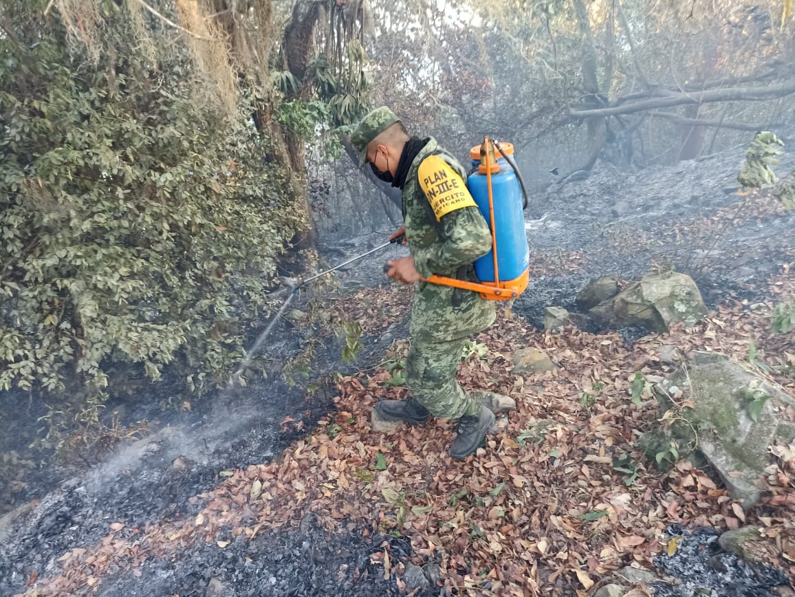 Brigadas atienden incendios en  Quimixtlán, Tlilapan y Vega de Alatorre