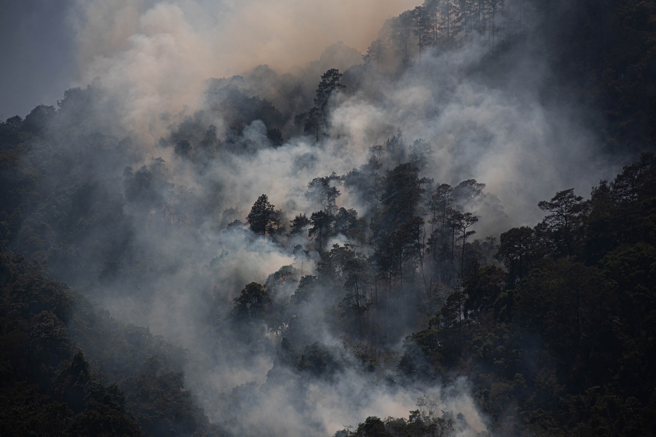 Incendios activos suman más de 900 hectáreas afectadas