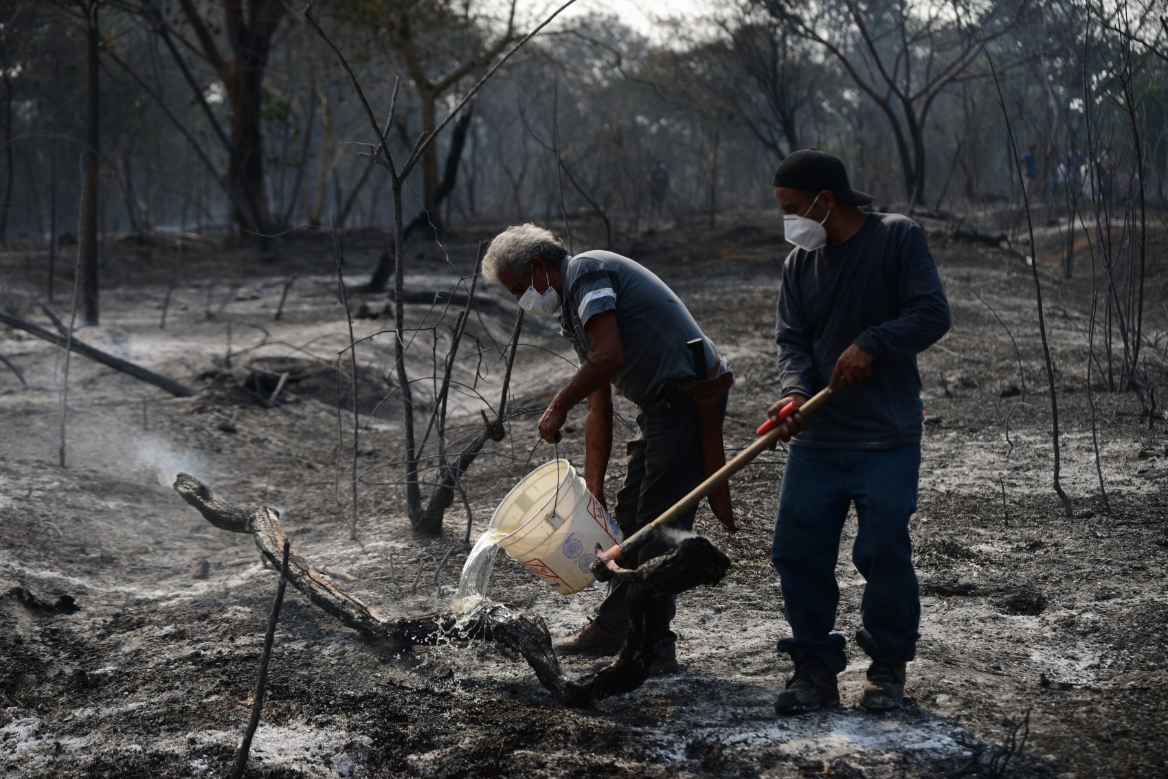 En dos meses se interponen 10 denuncias por incendios en zonas federales