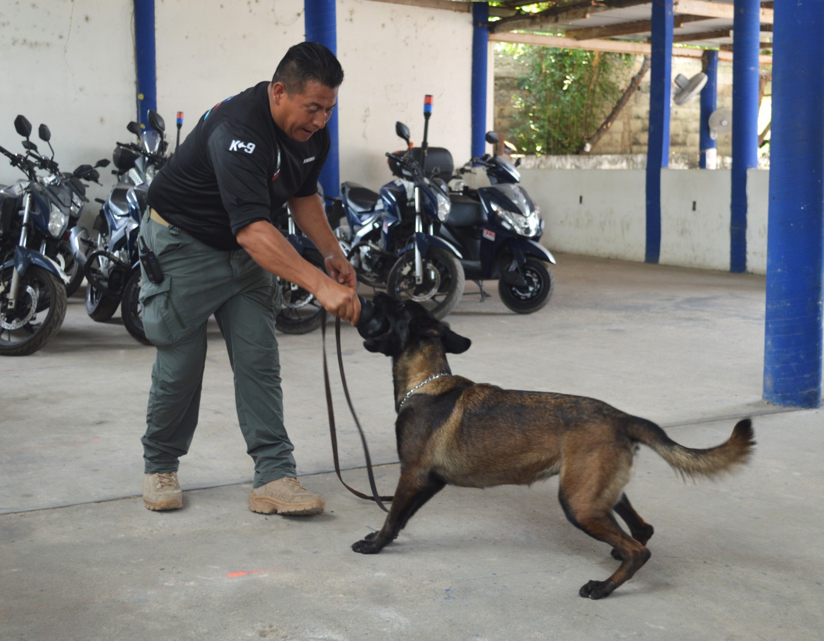 Coatzacoalcos contará con una Unidad Canina certificada para beneficio de la ciudadanía