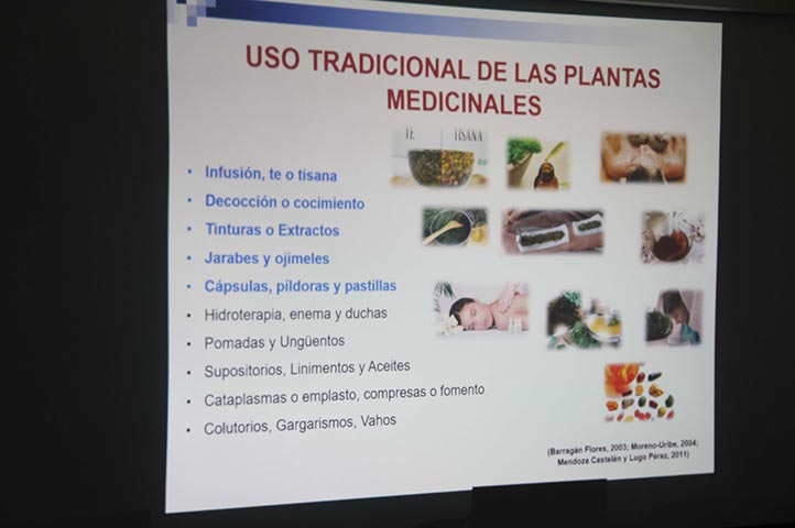 Herbolaria, madre de la farmacéutica moderna: Minerva Hernández