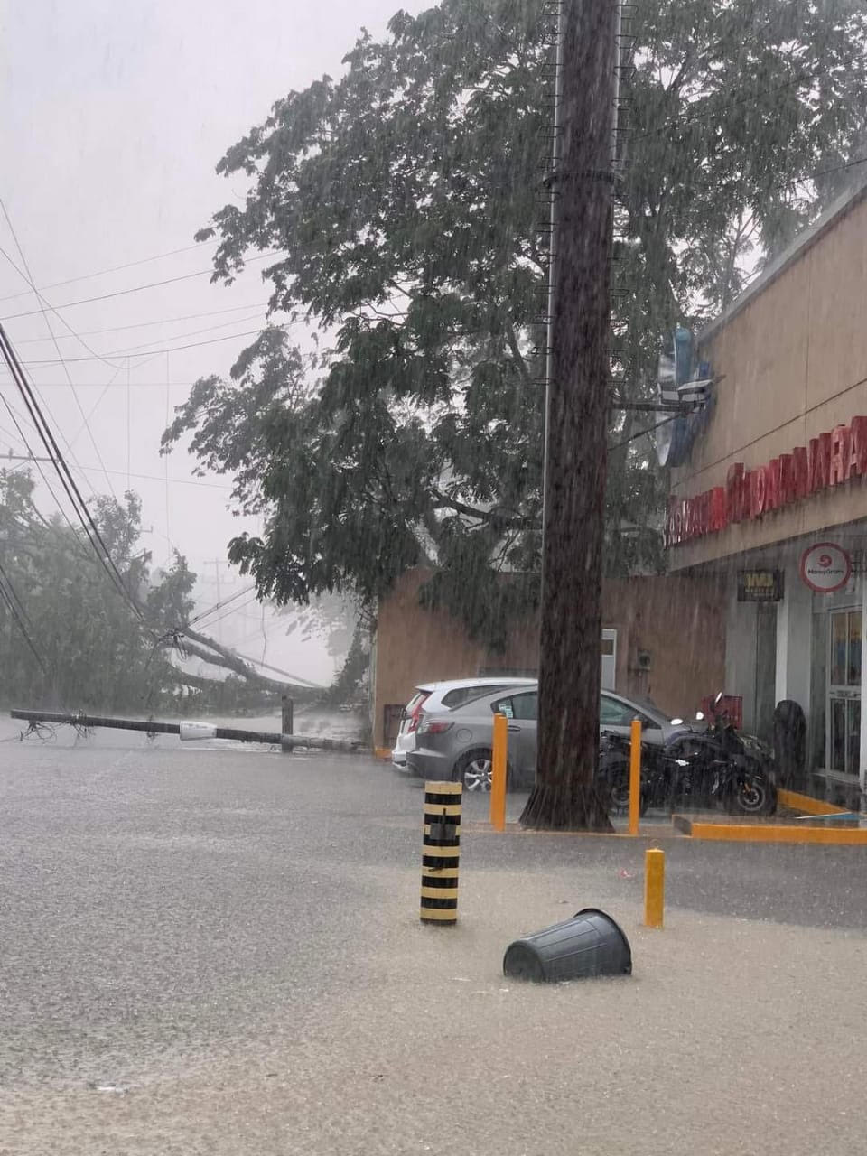 Lluvias dejan afectaciones en Coatepec