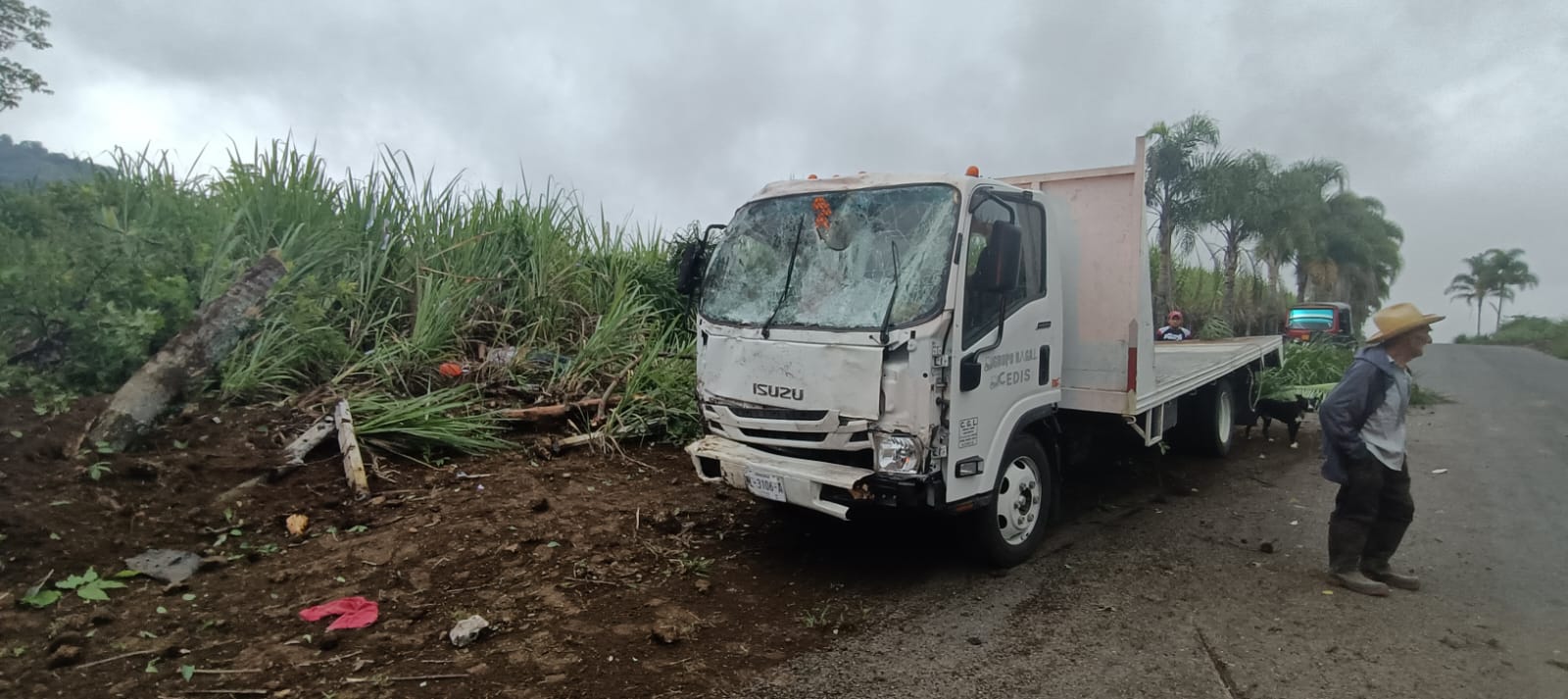Identifican a trabajadores de ferretera fallecidos al estrellarse contra palmeras en Atzacan