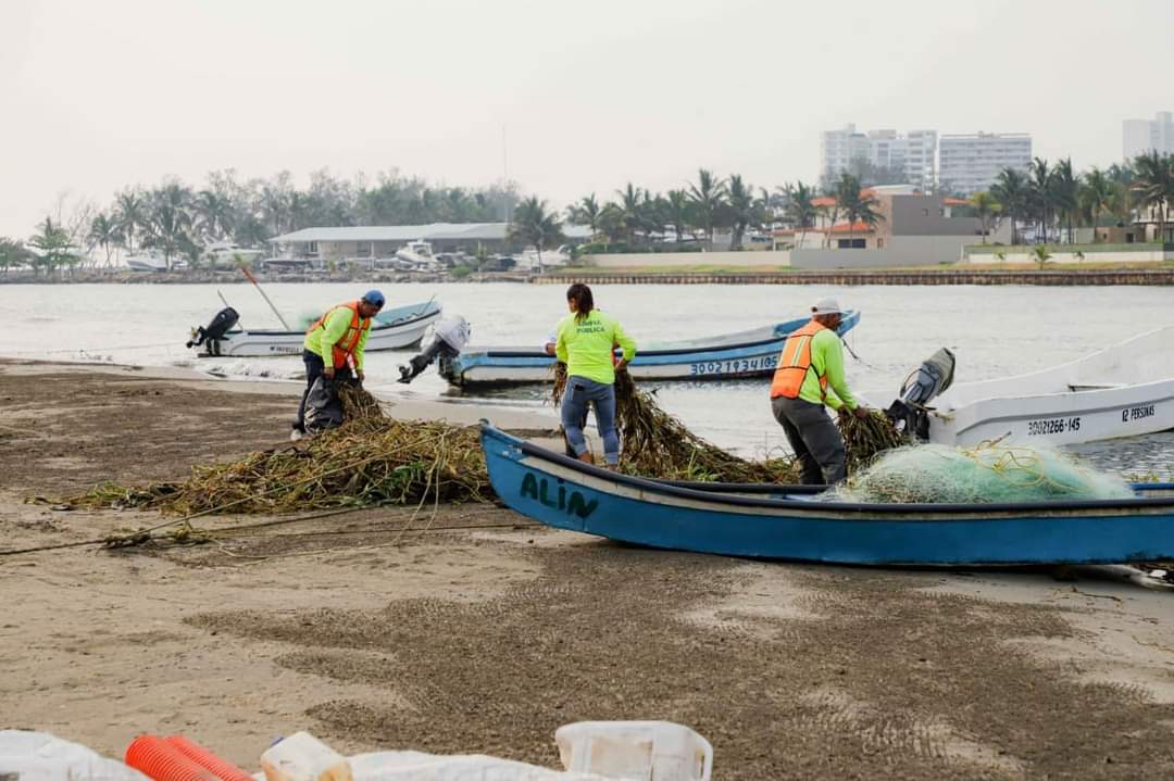 Retiran 120 toneladas diarias de palizada y algas en playas de Boca del Río