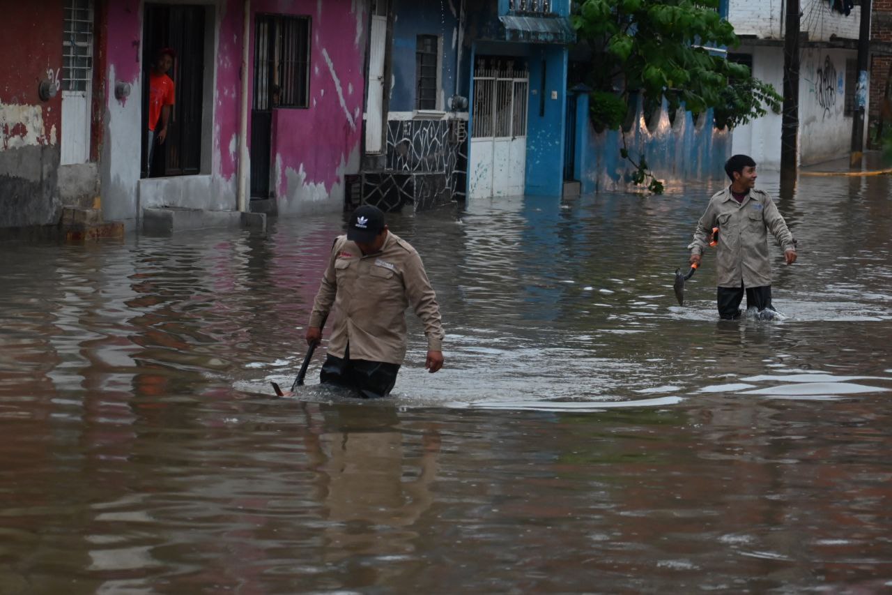 Lluvias provocan deslizamientos, encharcamientos y caída de árboles y postes en Xalapa este miércoles