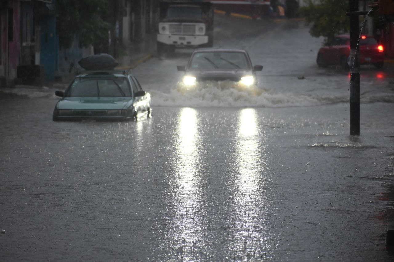 Lluvias en Xalapa desde la tarde del domingo dejan inundaciones y árboles caídos