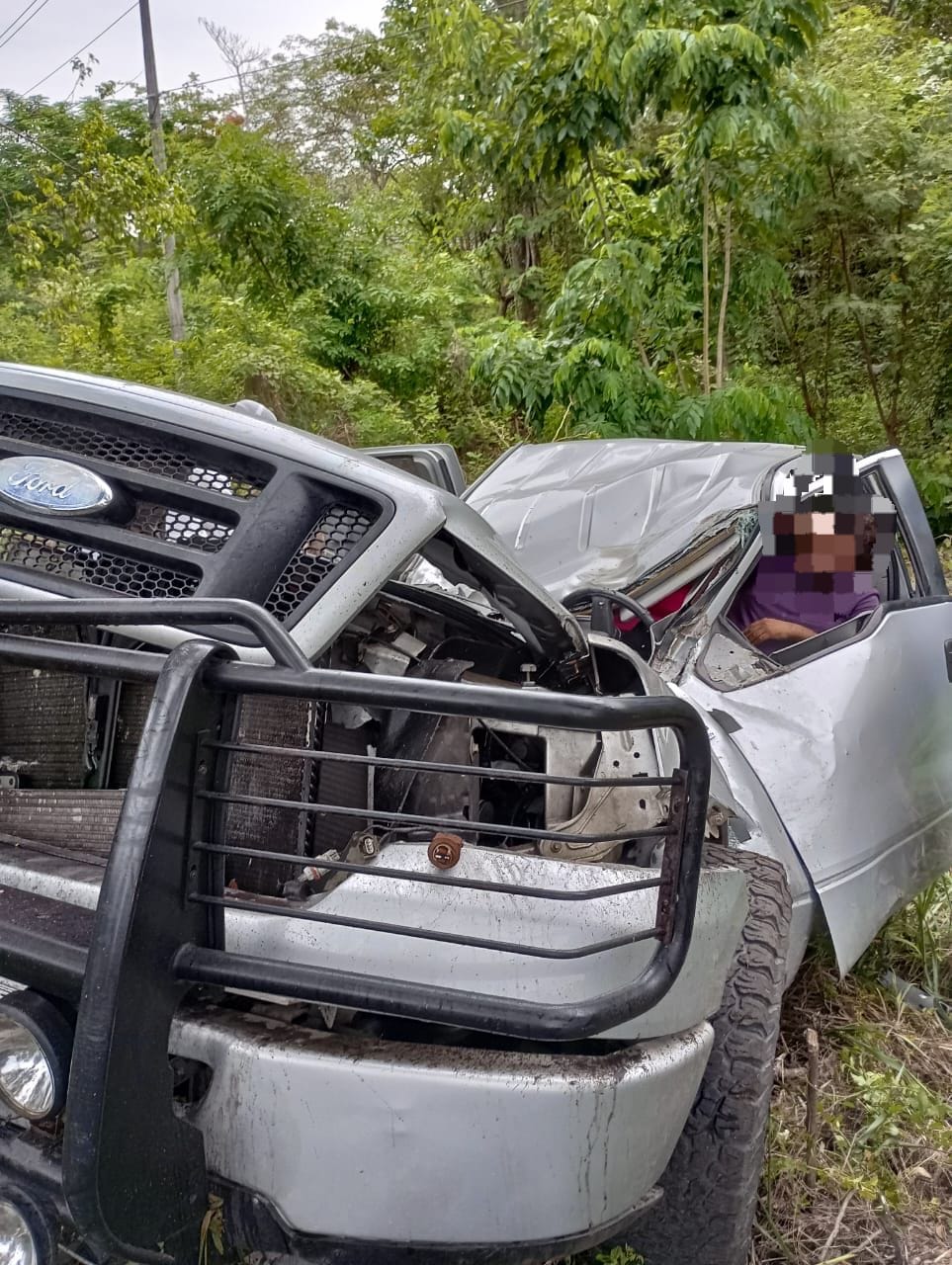 Un muerto y dos heridos al chocar camioneta contra árbol en Úrsulo Galván