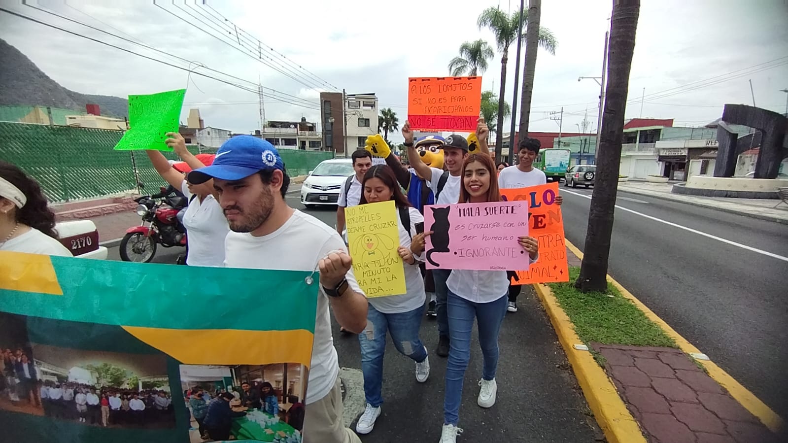 Familias piden hacer válidas las leyes de protección animal
