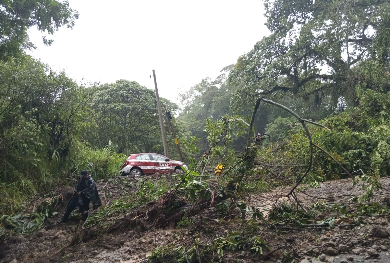 Cerrada la carretera federal Fortín-Huatusco por deslizamiento de tierra y lodo en Chocamán