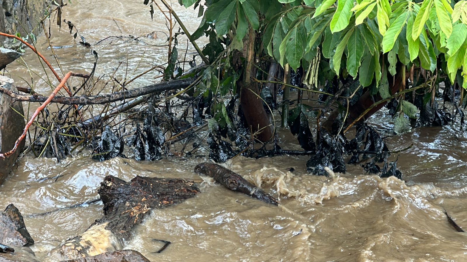 Fuga de hidrocarburo en Puebla obliga a suspender suministro de agua en Poza Rica, Tihuatlán y Coatzintla