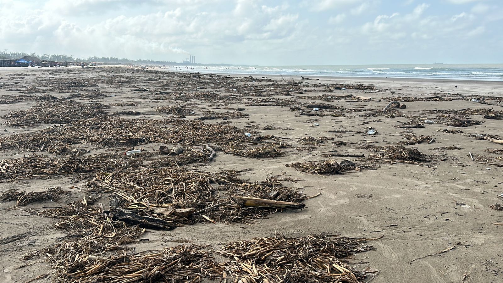 Alerta por las lluvias y palizada en las playas ahuyentan al turismo de las playas de Tuxpan